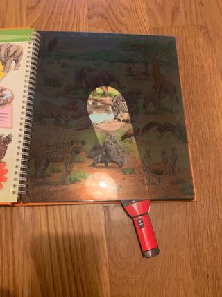 mi libro con linterna