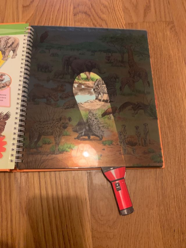 mi libro con linterna