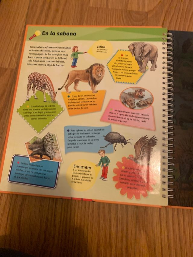 mi libro con linterna