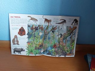 Busca los animales y errores