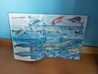 Busca los animales y errores