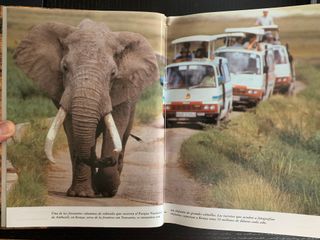 National Geographic: El reino animal