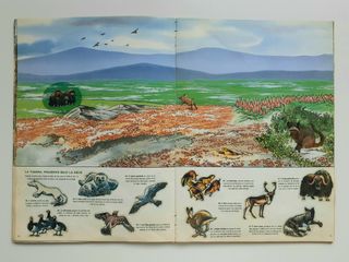 Álbum de cromos CROMOTINAS - ANIMALES, 1987