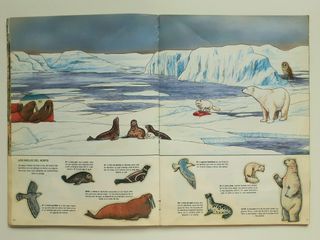 Álbum de cromos CROMOTINAS - ANIMALES, 1987