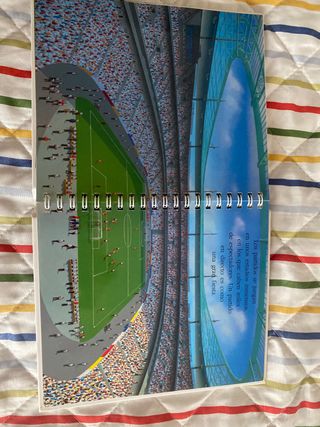 libro El futbol