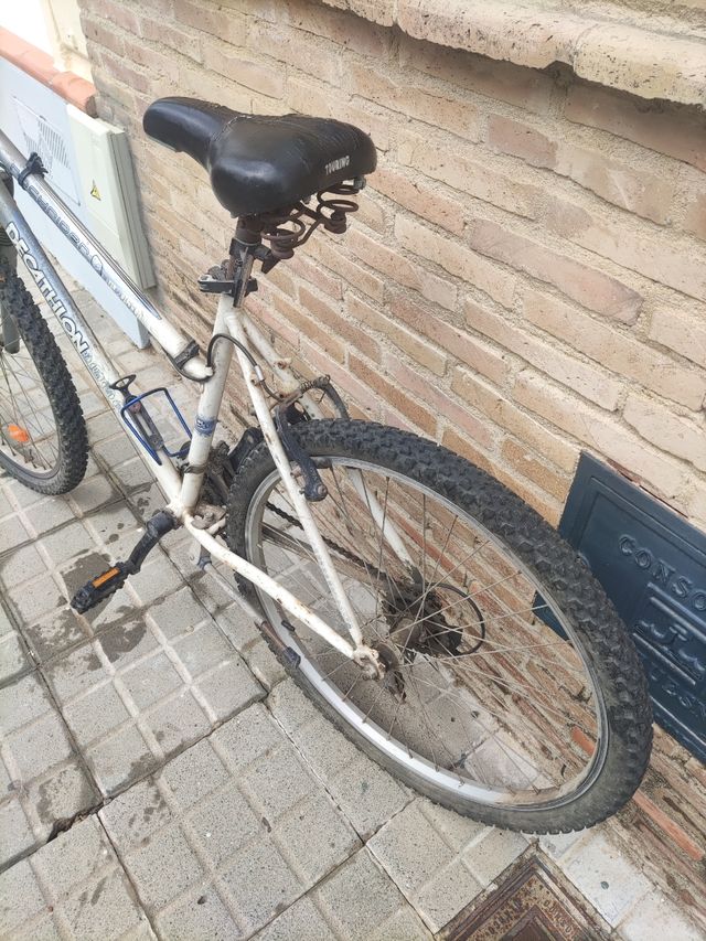 Bicicleta de 24 pulgadas
