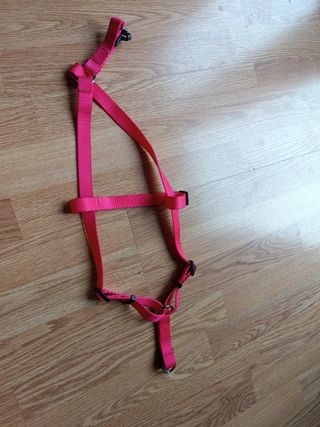 Arnés para perros