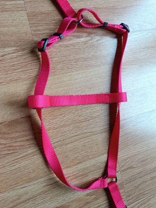 Arnés para perros