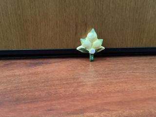 calamita con i limoni