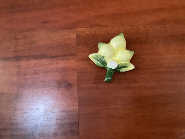 calamita con i limoni