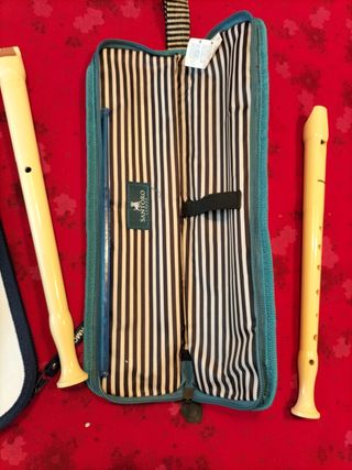 Flauta HOHNER. Con funda