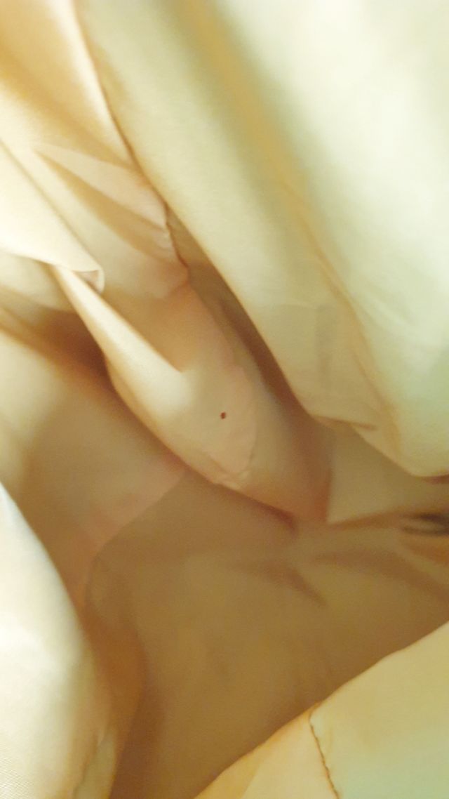 Sudadera cortavientos Starter