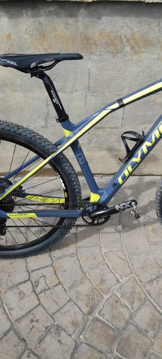 Bicicleta de montaña de carbono