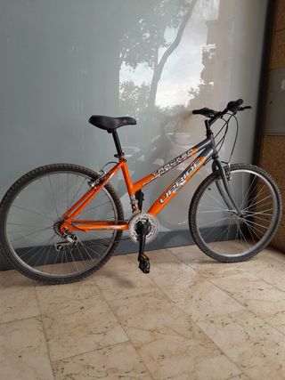 Bicicleta de montaña