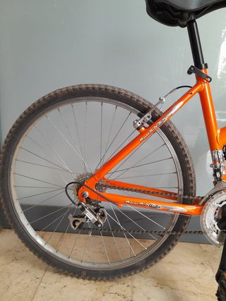 Bicicleta de montaña