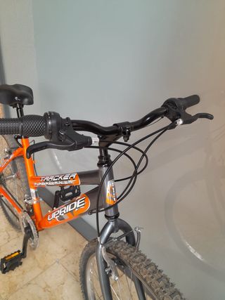 Bicicleta de montaña