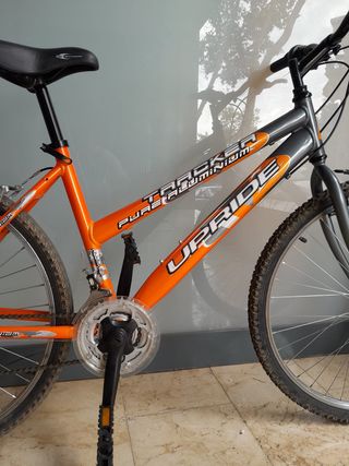 Bicicleta de montaña