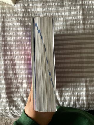 Diccionario Primaria lengua española