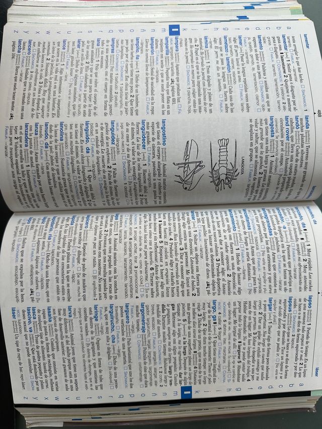 diccionario SM Primaria Basico Lengua Española