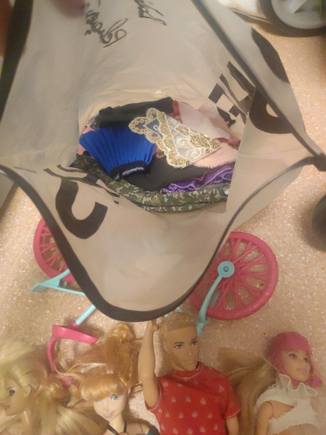 Lote Barbie , REGALO Barbies y muchos complementos