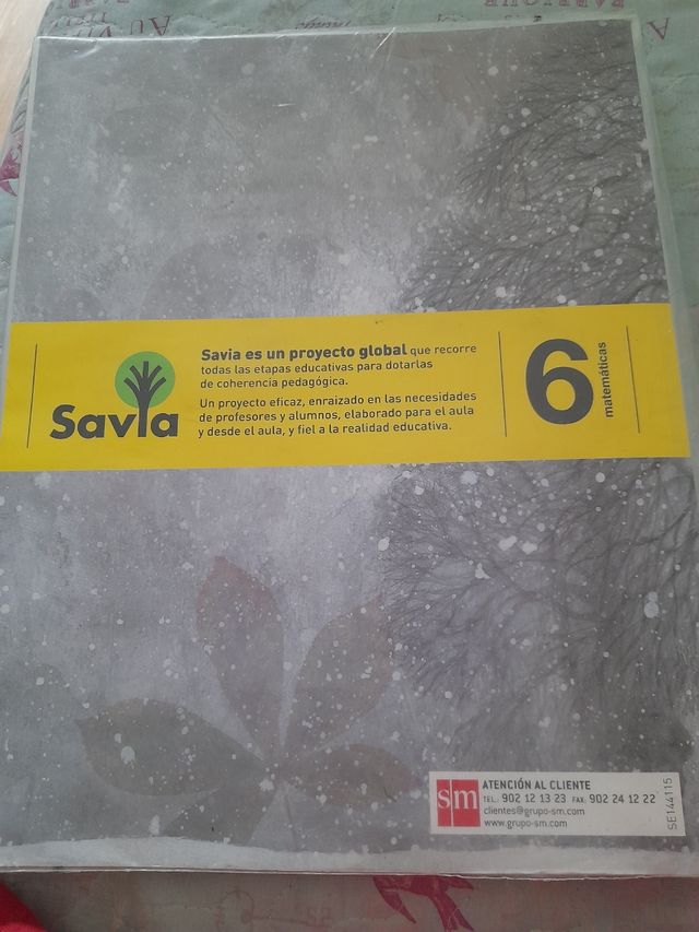 Libros 6 primaria matemáticas