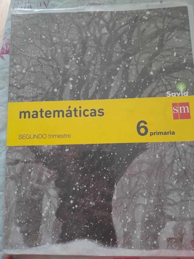 Libros 6 primaria matemáticas