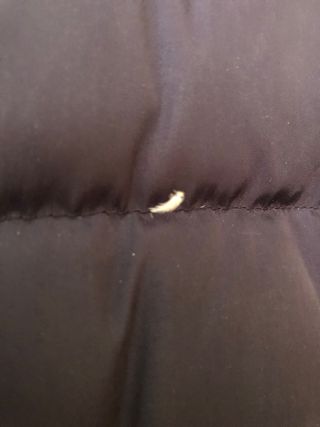 Plumas Zara azul S 