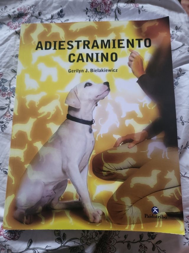 Adiestramiento canino