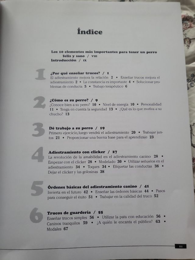 Adiestramiento canino