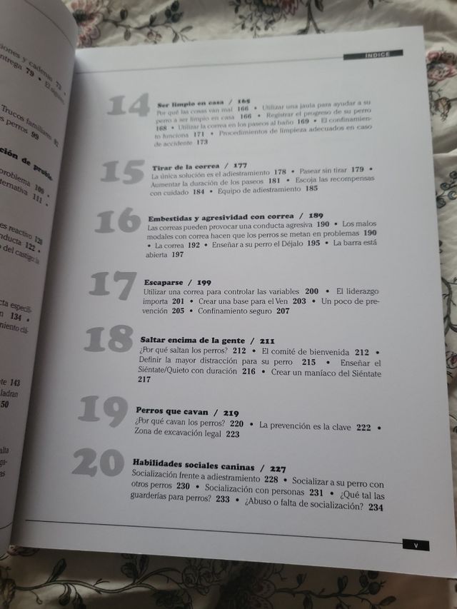 Adiestramiento canino