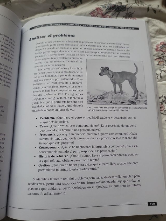 Adiestramiento canino