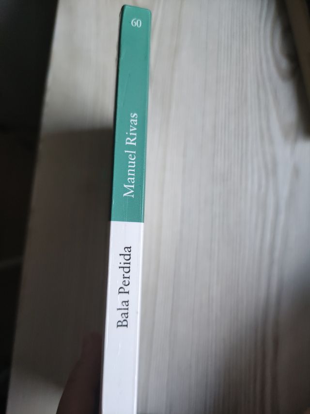 Bala Perdida de Manuel Rivas