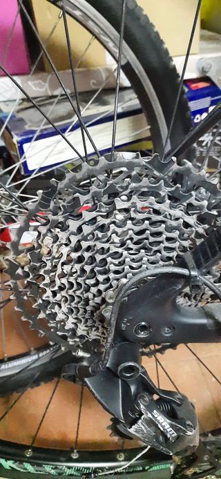 Bicicleta Orbea Alma carbono mtb