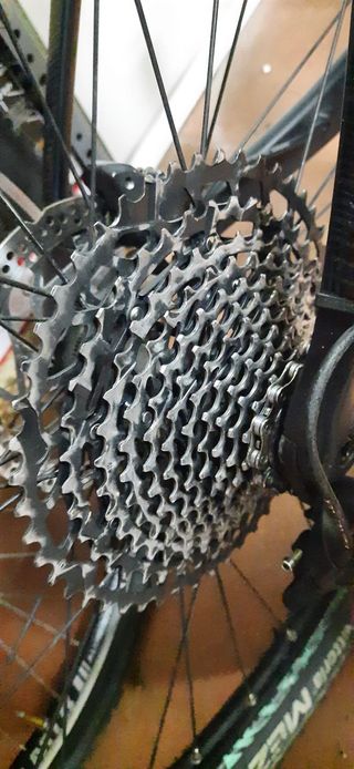 Bicicleta Orbea Alma carbono mtb