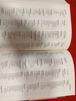 DICCIONARIO de SINÓNIMOS y ANTÓNIMOS