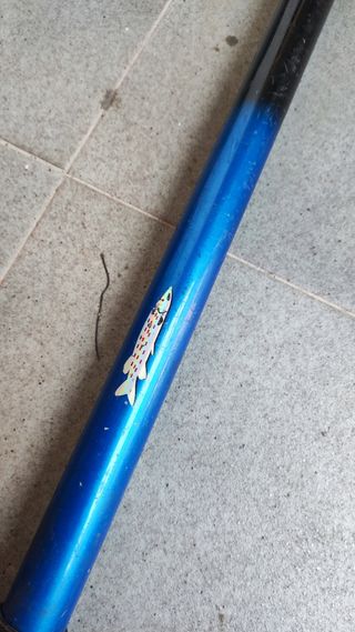 Caña para la pesca del siluro de 3,50 mt