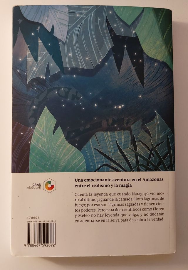 Las lagrimas de Naraguyá