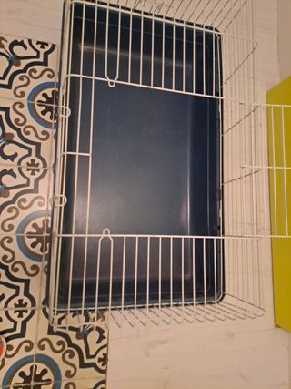 Jaula de conejo  o cobaya