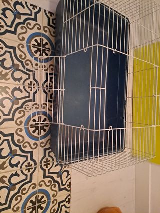 Jaula de conejo  o cobaya