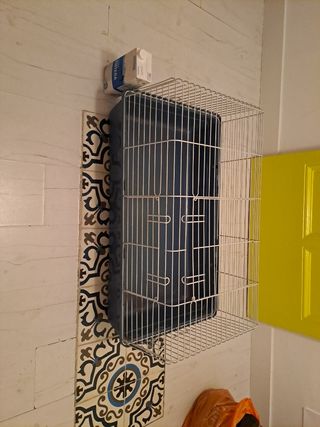 Jaula de conejo  o cobaya