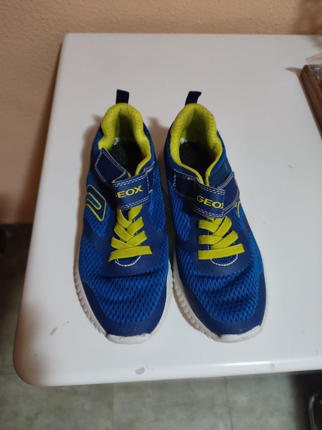 Zapatos niño Geox nr. 35