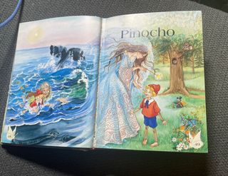 libro Hadas y Princesas