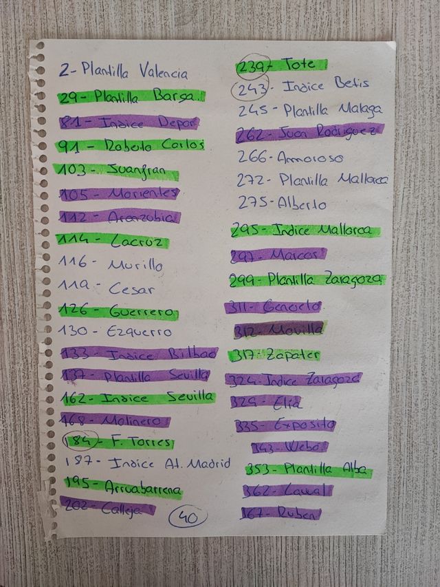 Las fichas de la Liga 2005