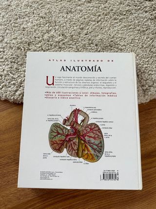 Atlas de Anatomia