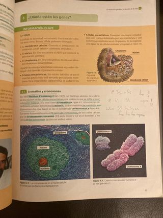 Libro Cultura Científica 1 bachillerato