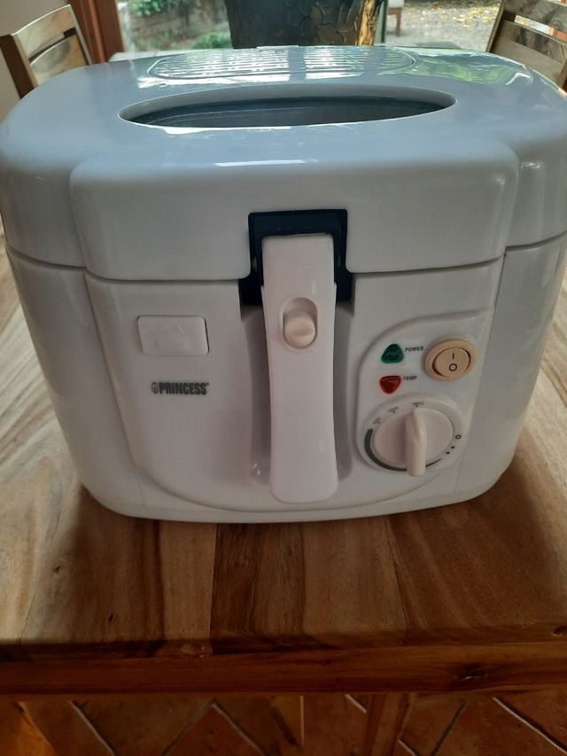 Friggitrice elettrica