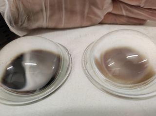 Lentes pulidas Morimoto