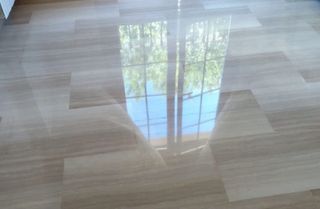 El pulidor de alicante.