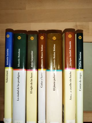 LOTE 7 libros Biblioteca El mundo