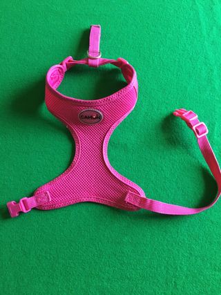 Camon Pettorina "Mesh" fucsia Tg.S